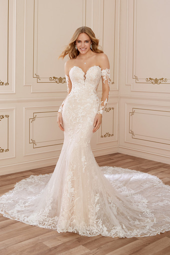 Sophisticated Fit and Flare Gown with Sleeves Bronte
