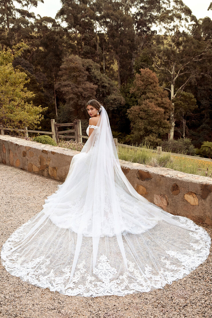 Breathtaking Veil with Lace Edge
