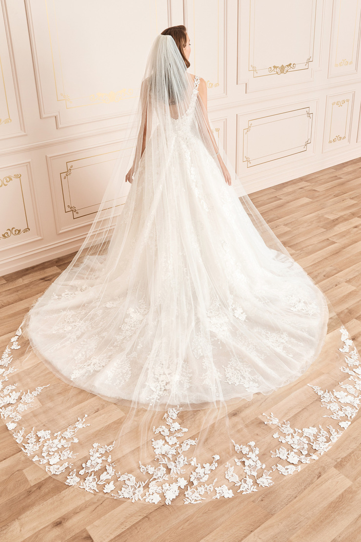 Breathtaking Tulle Veil with Sequined Lace
